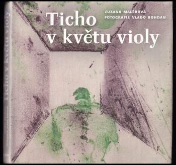 Ticho v květu violy