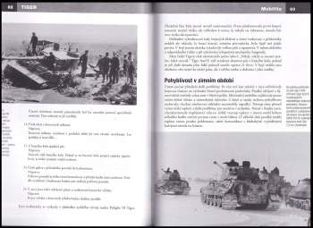 Thomas Anderson: Tiger