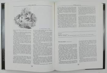 Tisíc let myslivosti