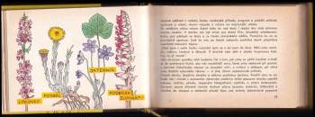 Miloš Zapletal: Tisíc malých dobrodružství