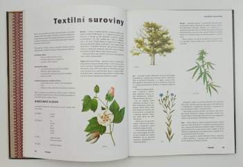 Zuzana Arsenjevová: Tkaní