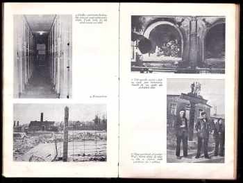 Miloslav Moulis: To byl Buchenwald