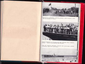 Toman Brod: Tobrucké krysy