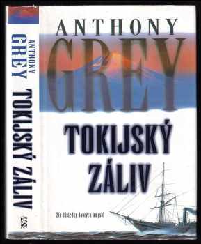 Anthony Grey: Tokijský záliv - román z Japonska