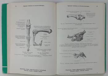 Carl Toldt: Toldts Anatomischer Atlas für Studierende und Ärzte: Díl 1-3