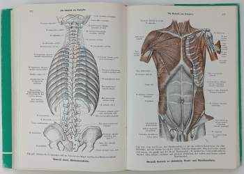 Carl Toldt: Toldts Anatomischer Atlas für Studierende und Ärzte: Díl 1-3