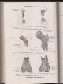 Carl Toldt: Toldtův anatomický atlas pro studující a lékaře