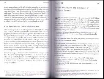 J. S. Ryan: Tolkien's View: Windows into his World