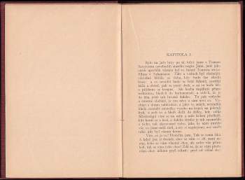 Mark Twain: Tom Sawyer detektivem