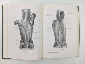Karel Weigner: Topografická anatomie