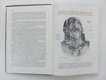 Karel Weigner: Topografická anatomie se zřetelem k studiu anatomie a k potřebám klinickým