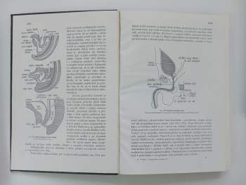 Karel Weigner: Topografická anatomie se zřetelem k studiu anatomie a k potřebám klinickým