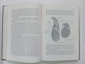 Karel Weigner: Topografická anatomie se zřetelem k studiu anatomie a k potřebám klinickým