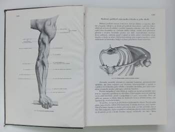 Karel Weigner: Topografická anatomie se zřetelem k studiu anatomie a k potřebám klinickým