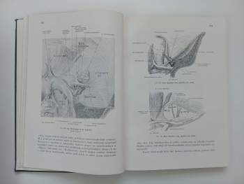 Karel Weigner: Topografická anatomie se zřetelem k studiu anatomie a k potřebám klinickým