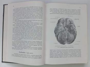 Karel Weigner: Topografická anatomie se zřetelem k studiu anatomie a k potřebám klinickým