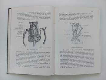 Karel Weigner: Topografická anatomie se zřetelem k studiu anatomie a k potřebám klinickým