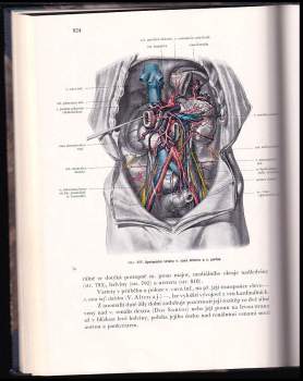 Karel Weigner: Topografická anatomie se zřetelem k studiu anatomie a k potřebám klinickým