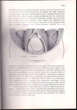 Karel Weigner: Topografická anatomie se zřetelem k studiu anatomie a k potřebám klinickým