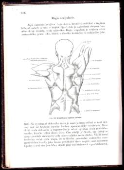 Karel Weigner: Topografická anatomie se zřetelem k studiu anatomie a k potřebám klinickým