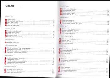 Marek Podhorský: Toulavá kamera