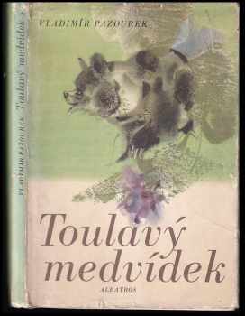 Toulavý medvídek