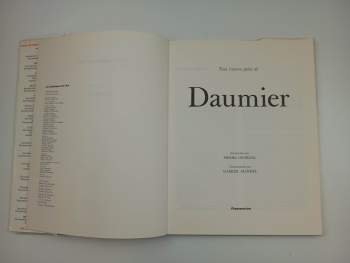 Pierre Georgel: Tout l'oeuvre peint de Daumier