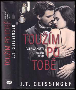J. T Geissinger: Toužím po tobě