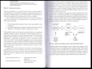 Mike Rother: Toyota kata