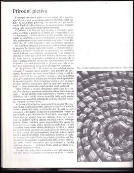 Vlastimil Vondruška: Tradice lidové tvorby