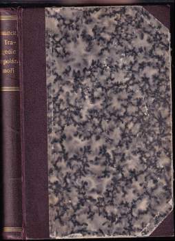 Tragedie v polárním moři