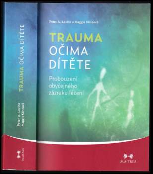 Trauma očima dítěte