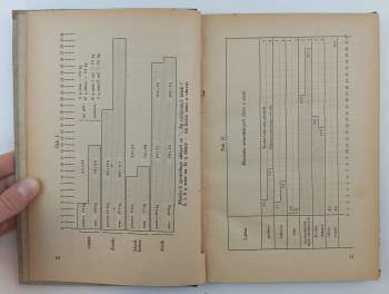 Ludvík Černovický: Travinářství