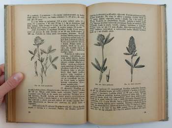 Ludvík Černovický: Travinářství