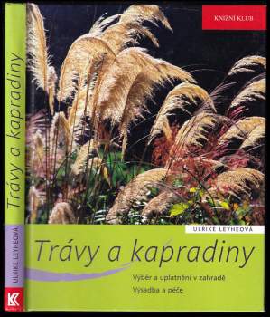 Trávy a kapradiny