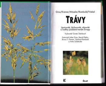 Jürke Grau: Trávy