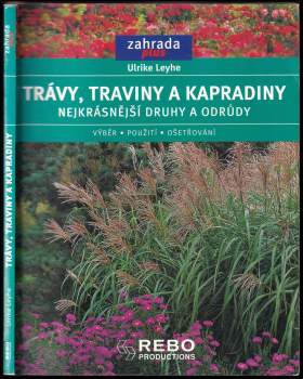 Trávy, traviny a kapradiny