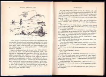 Karl May: Třemi díly světa