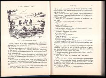 Karl May: Třemi díly světa