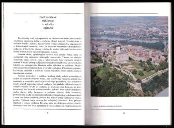 Andrej Fiala: Trenčiansky hrad