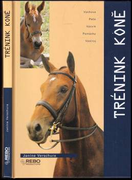 Trénink koně