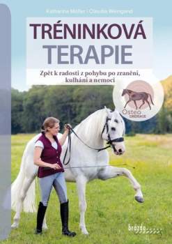 Tréninková terapie