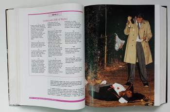 James A Inciardi: Trestní spravedlnost