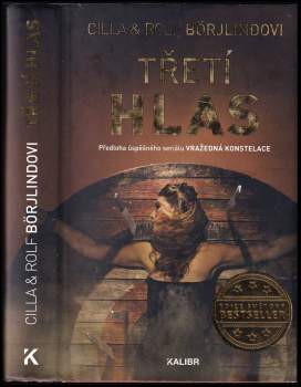 Cilla Börjlind: Třetí hlas