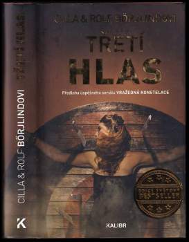 Cilla Börjlind: Třetí hlas