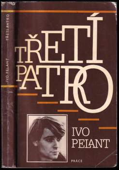 Ivo Pelant: Třetí patro