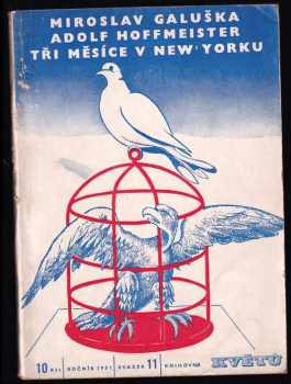 Tři měsíce v New Yorku