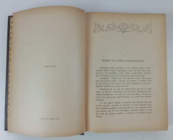 Alexandre Dumas: Tři mušketýři po dvaceti letech