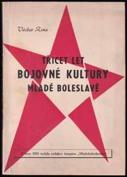 Třicet let bojovné kultury Mladé Boleslavě