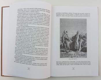 Jules Verne: Triumf XIX. století